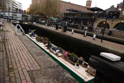 DSC_1426 (Large).JPG